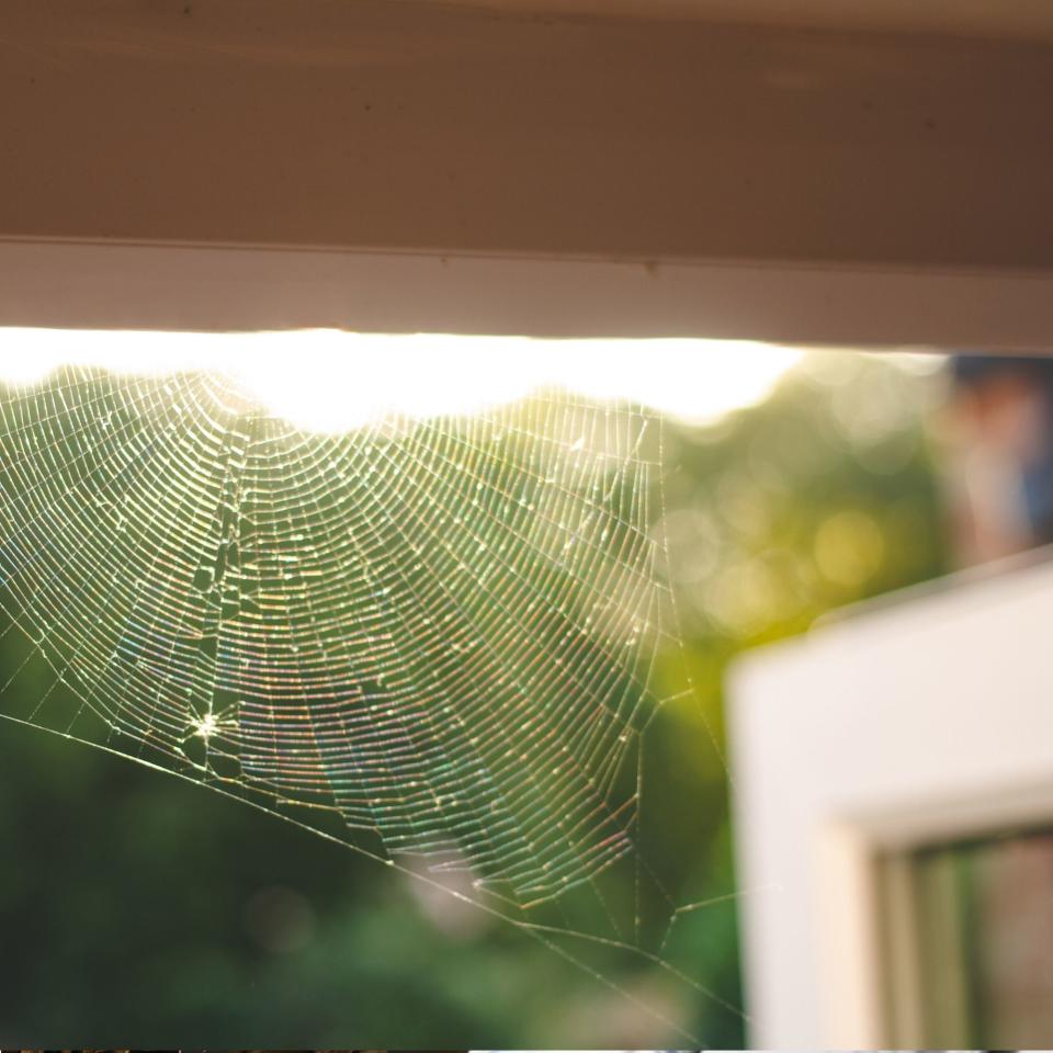 A  spider web in a doorway of a modern house