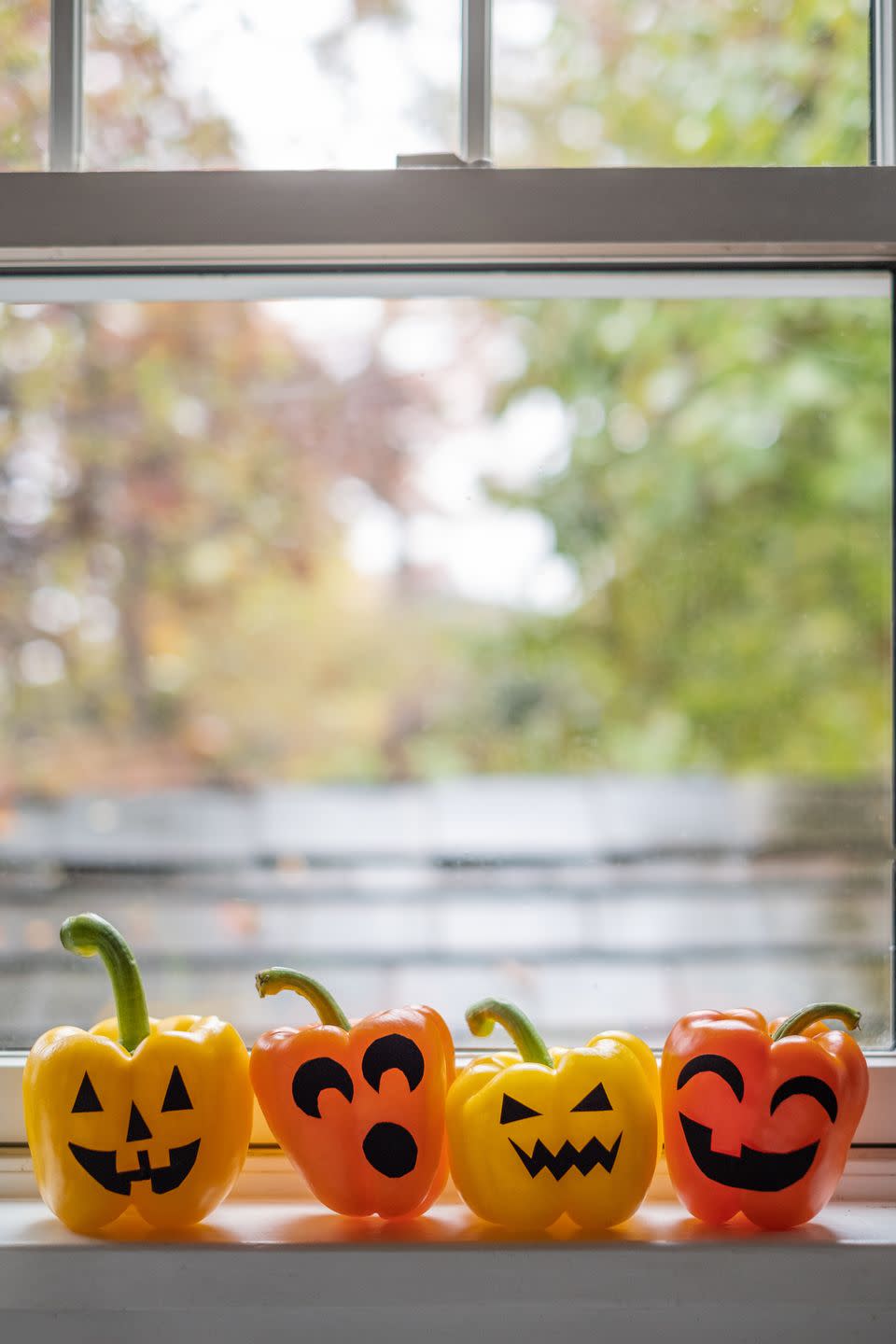 20) Line Up Jack O'Lantern Peppers