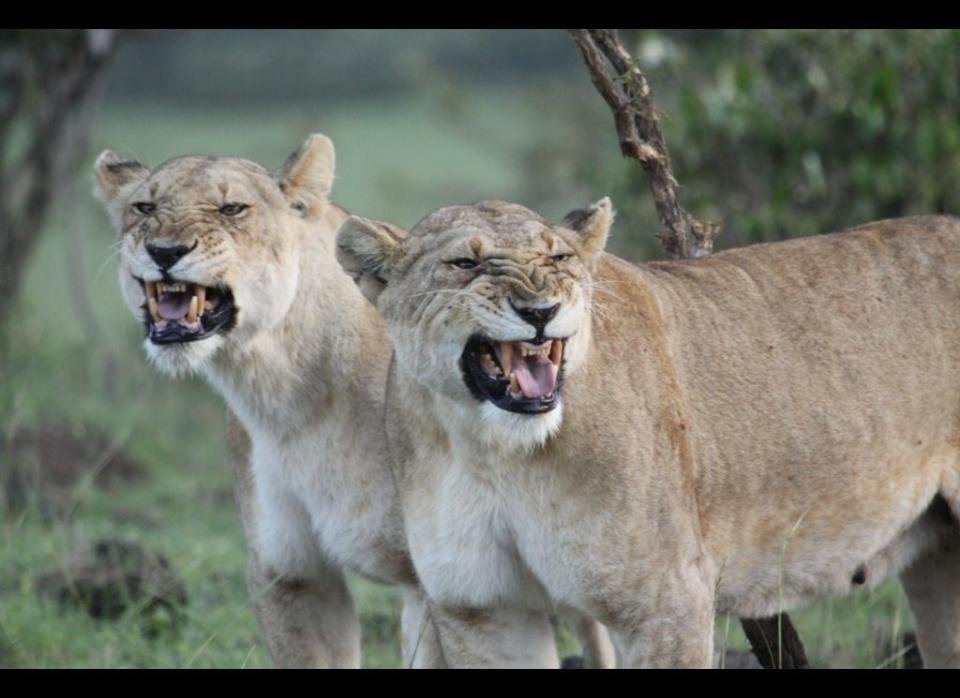 Photo: © Great Plains Conservation