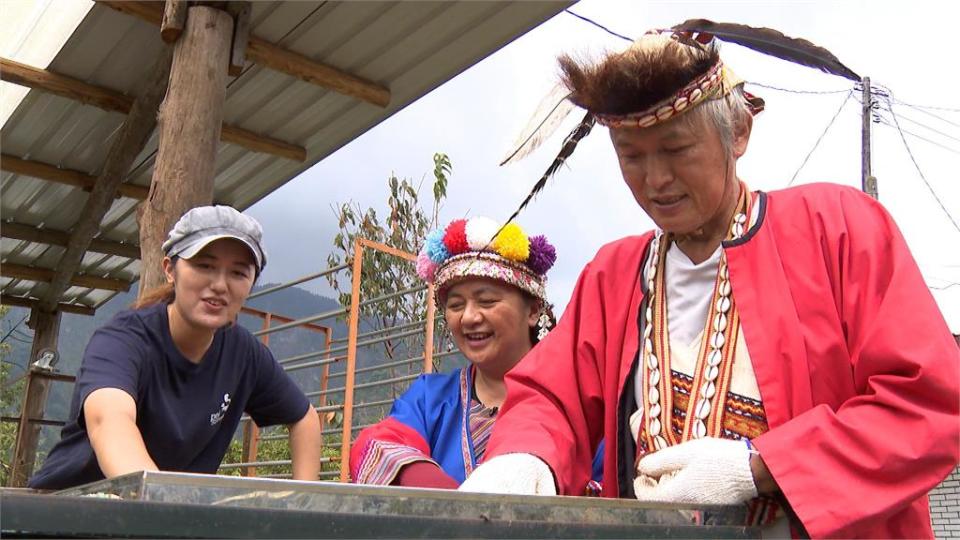 青年返"嘉"圓夢! 揭秘阿里山神秘吸引力