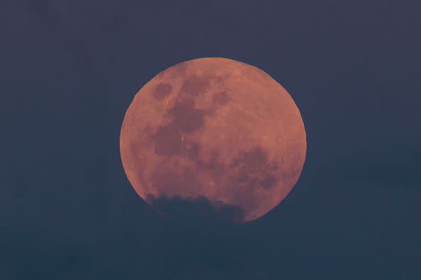 The full moon rises at Manly Beach ahead of a total lunar eclipse on November 8, 2022, in Sydney, Australia.