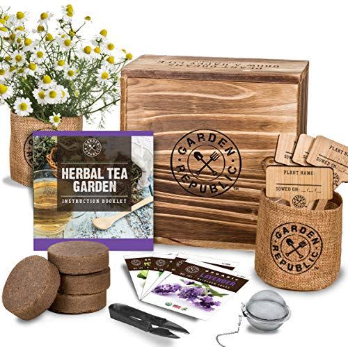 Herbal Tea Growing Kit
