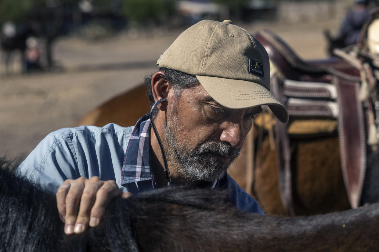 Ángel Estrada, derecha, veterinario, y Brenda Arias, estudiante de veterinaria, anestesian a un caballo que será sometido a cirugía en una clínica en la comunidad de Charco de Sierra en Guanajuato, México. (Victor J. Blue/The New York Times)