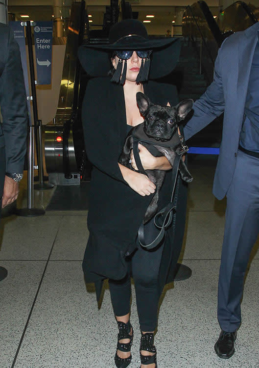 Lady Gaga y su perro Miss Asia 