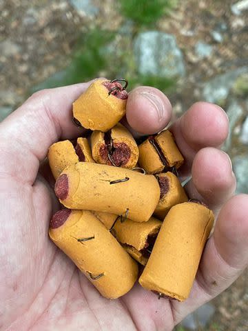 <p>Pennsylvania Game Commission</p> Dog treats stuffed with fish hooks found on the Appalachian Trail