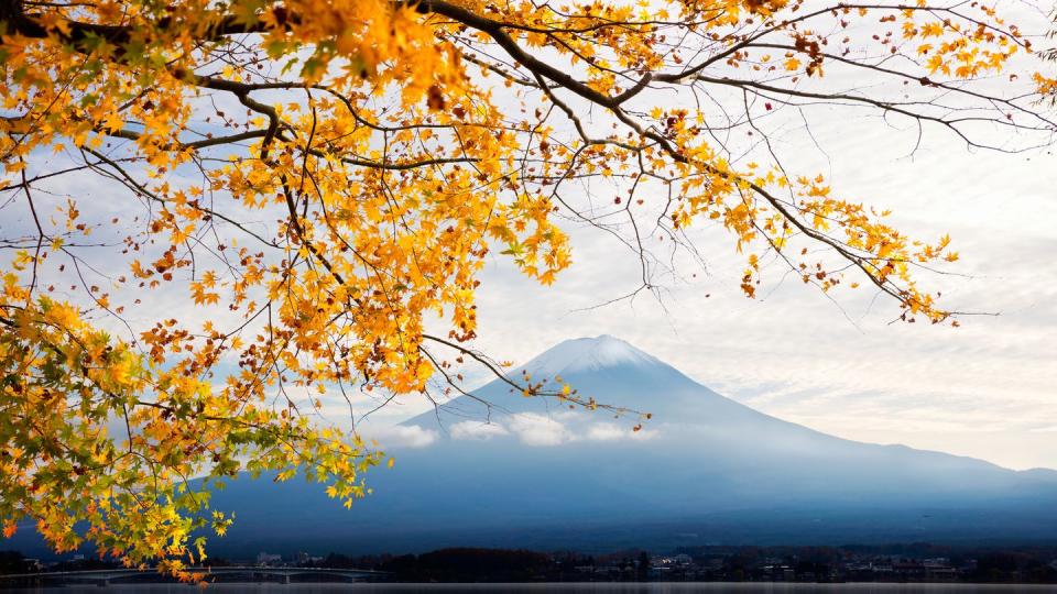 Fujisan in autumn