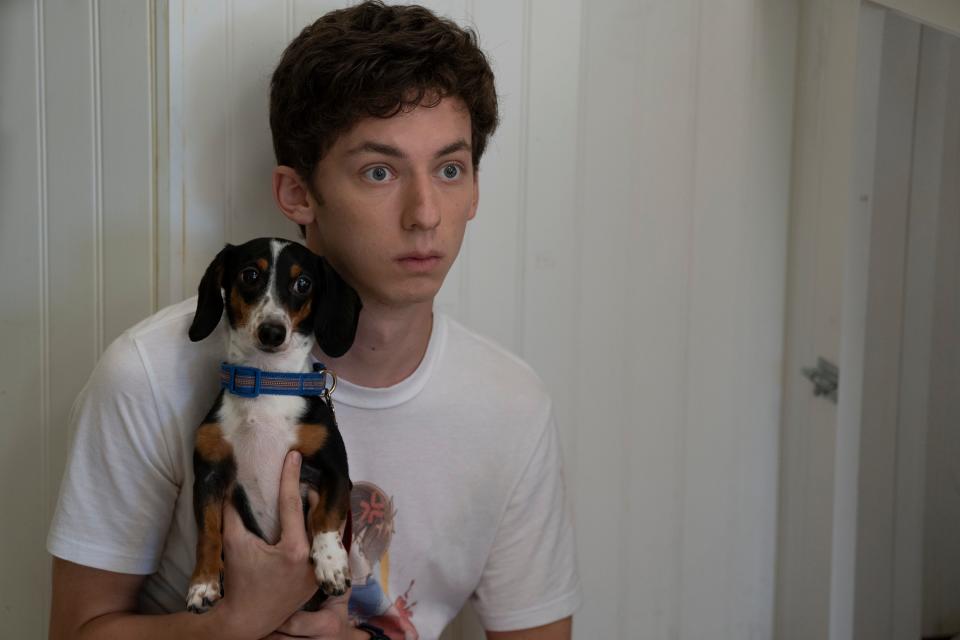 Percy (Andrew Barth Feldman) volunteers at a dog shelter in "No Hard Feelings."