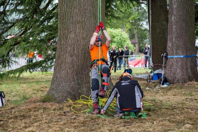 Arboricultural Association - Two-rope working – an update