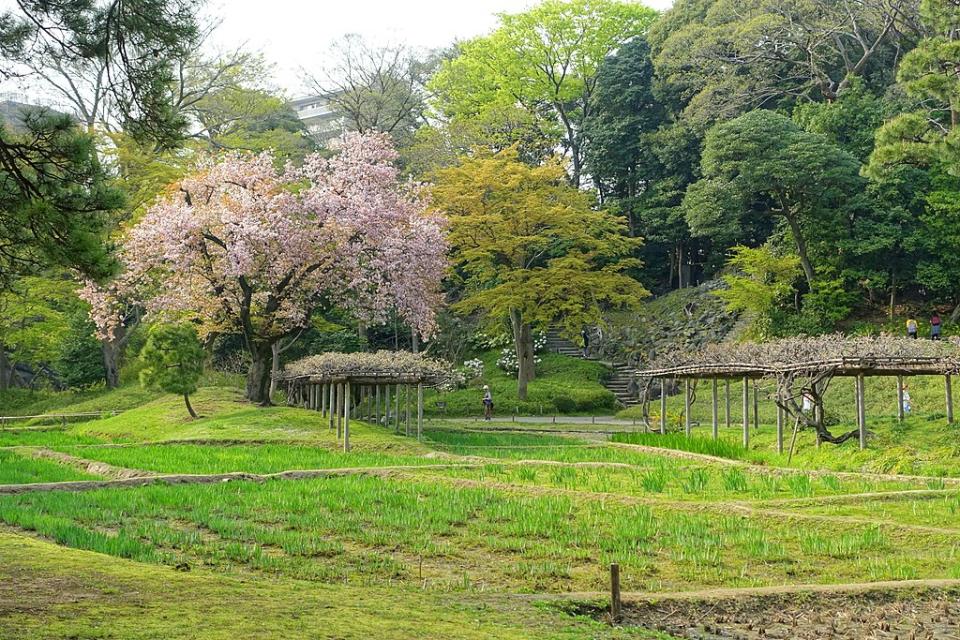 小石川後樂園 (Photo by Daderot, License: CC0, Wikimedia Commons提供)