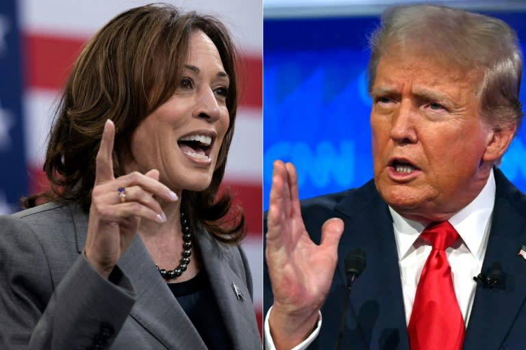 Democratic presidential candidate Kamala Harris and Republican Donald Trump will meet in their first and perhaps only debate on Tuesday (Brendan Smialowski)