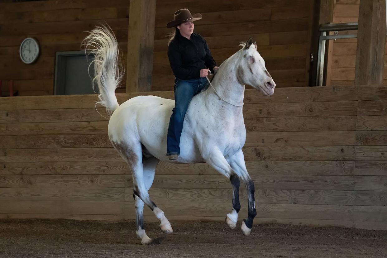 HORSE WITHOUT EYES ACHIEVES THREE WORLD RECORDS