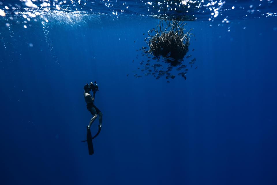 A member of the Vortex Swim team photographs an abandoned fishing net bobbing near the surface. (Photo: @joshmunoz/The Vortex Swim)