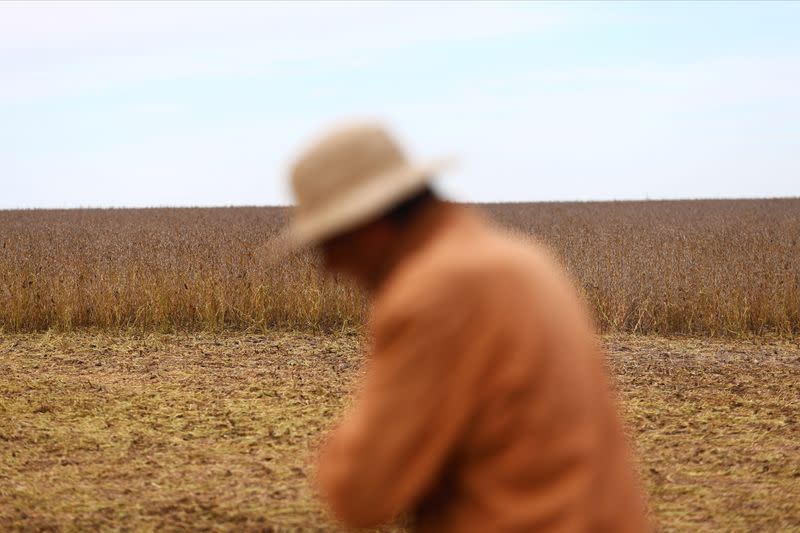 Argentina soy farmers wait on rising prices to sell rain-drenched crop