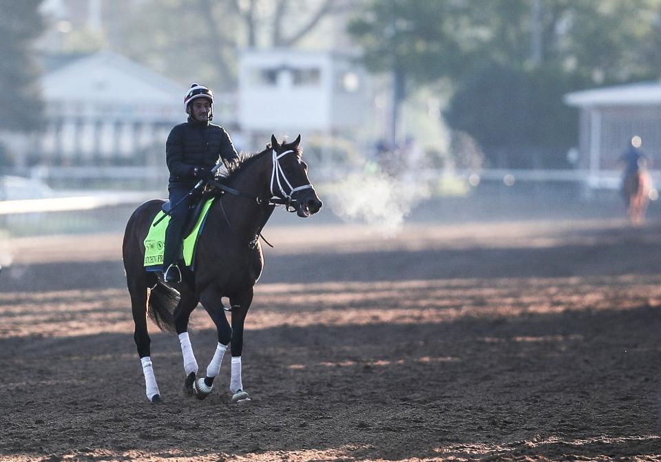 Kentucky Derby contender Catching Freedom walks off the track on a brisk morning, April 22, 2024, at Churchill Downs in Louisville, Ky.