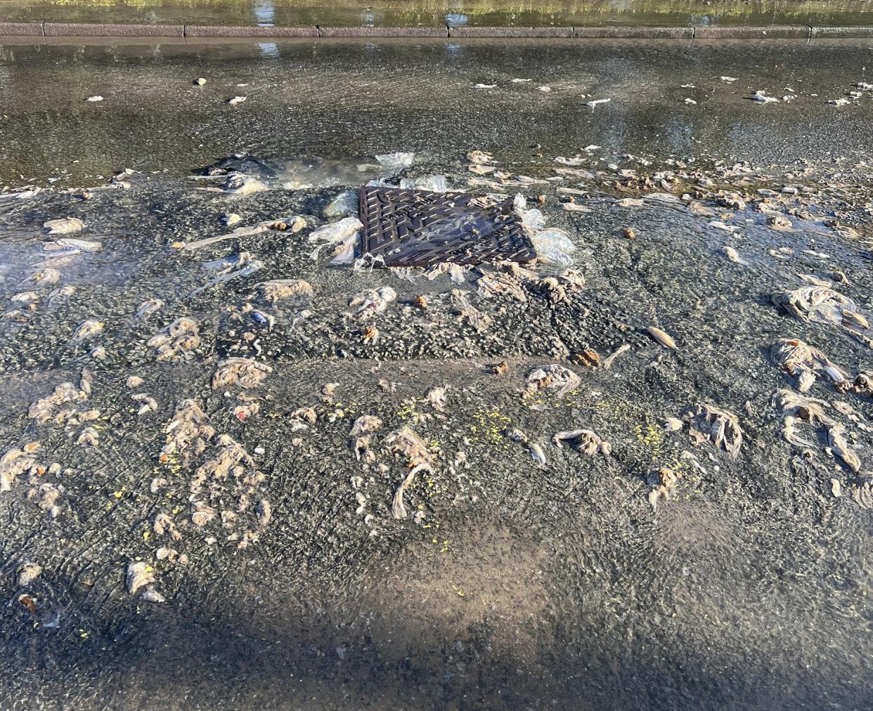 Sewage on the streets in Lambourn, Berkshire. (SWNS)