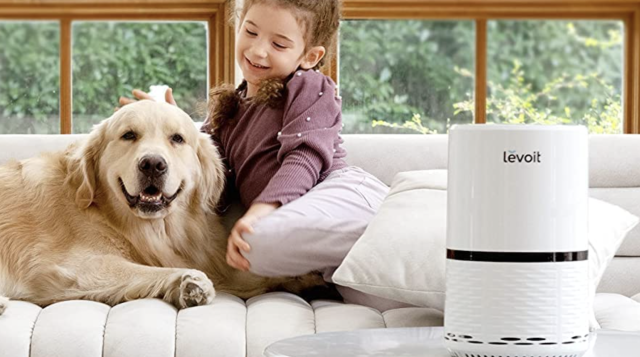 Levoit LV-H132 Air Purifier with True HEPA Filter for Smoke, Bacteria, and  More 