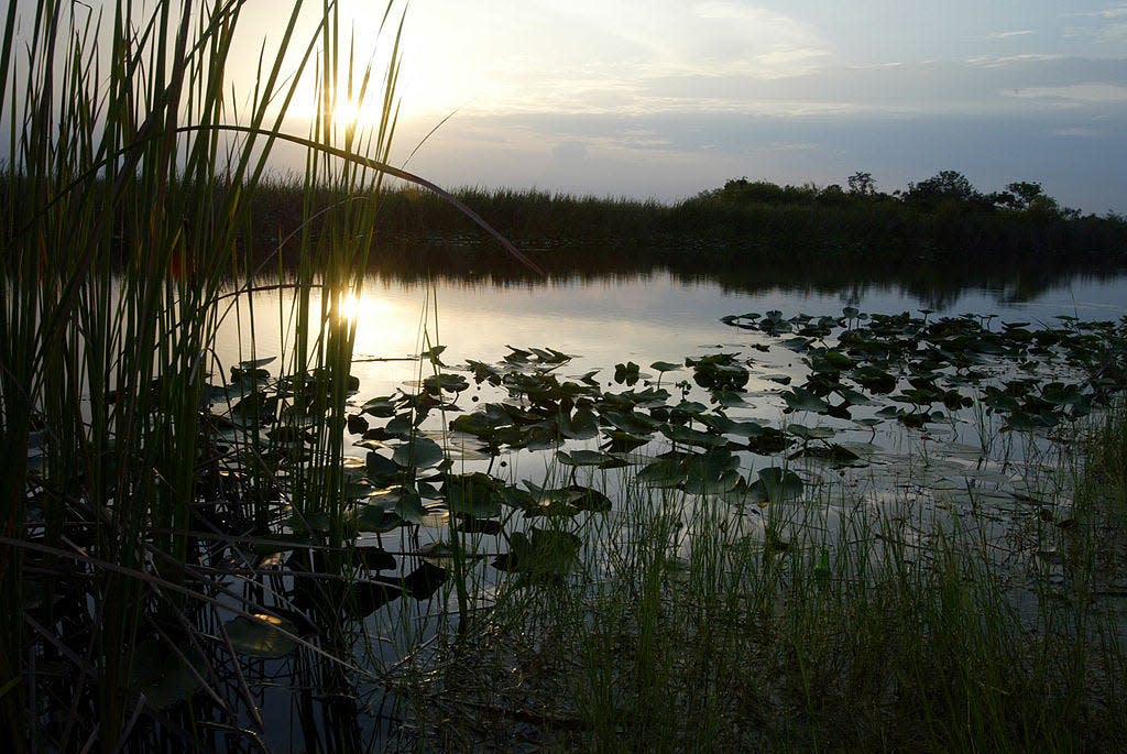 The sun sets over the Florida Everglades on June 5, 2003.