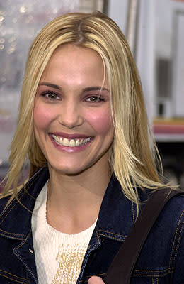 Leslie Bibb at the Mann Chinese Theater premiere of Warner Brothers' See Spot Run