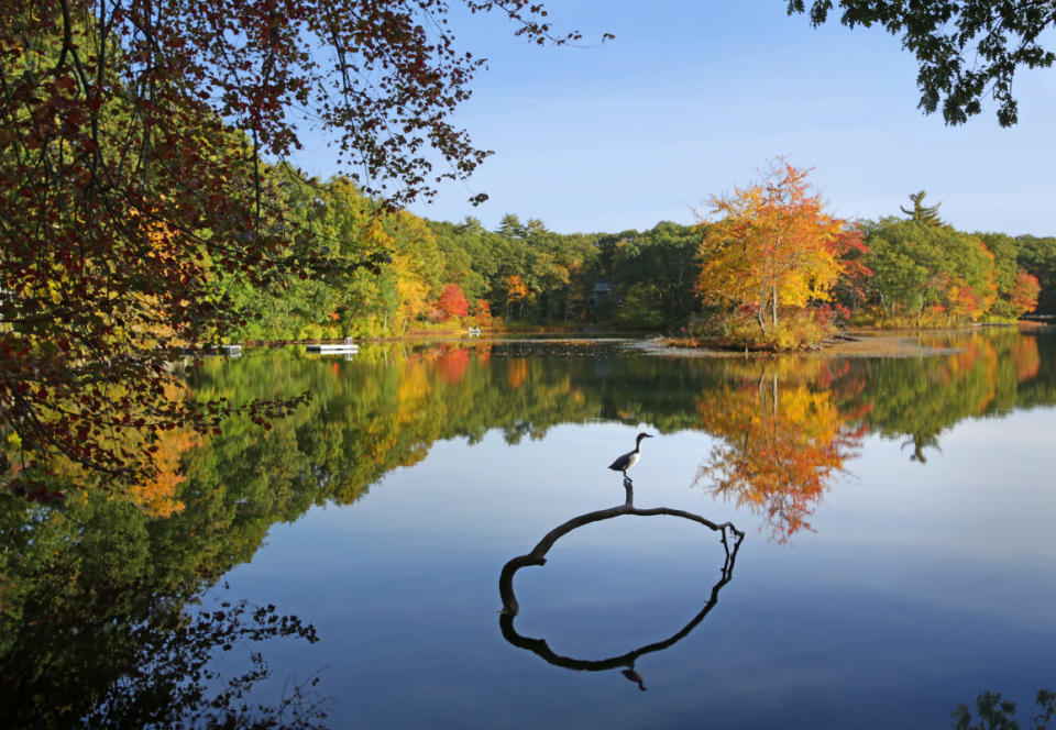 Flock-free autumn appreciation at Flushing Pond.<p>Massachusetts Office of Travel and Tourism</p>