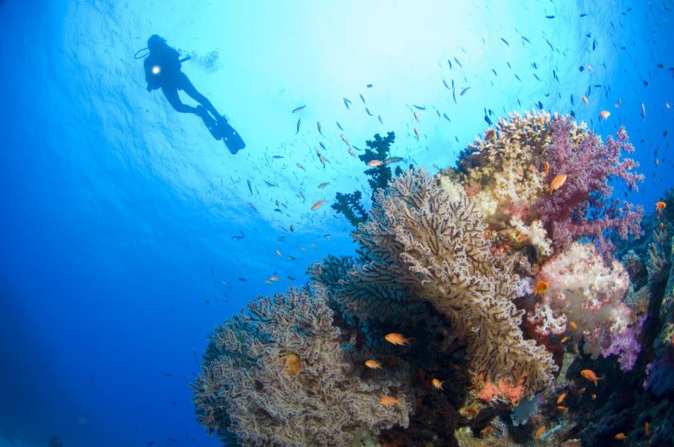 Fiji is an adventurer's dream. Photo: Getty Images