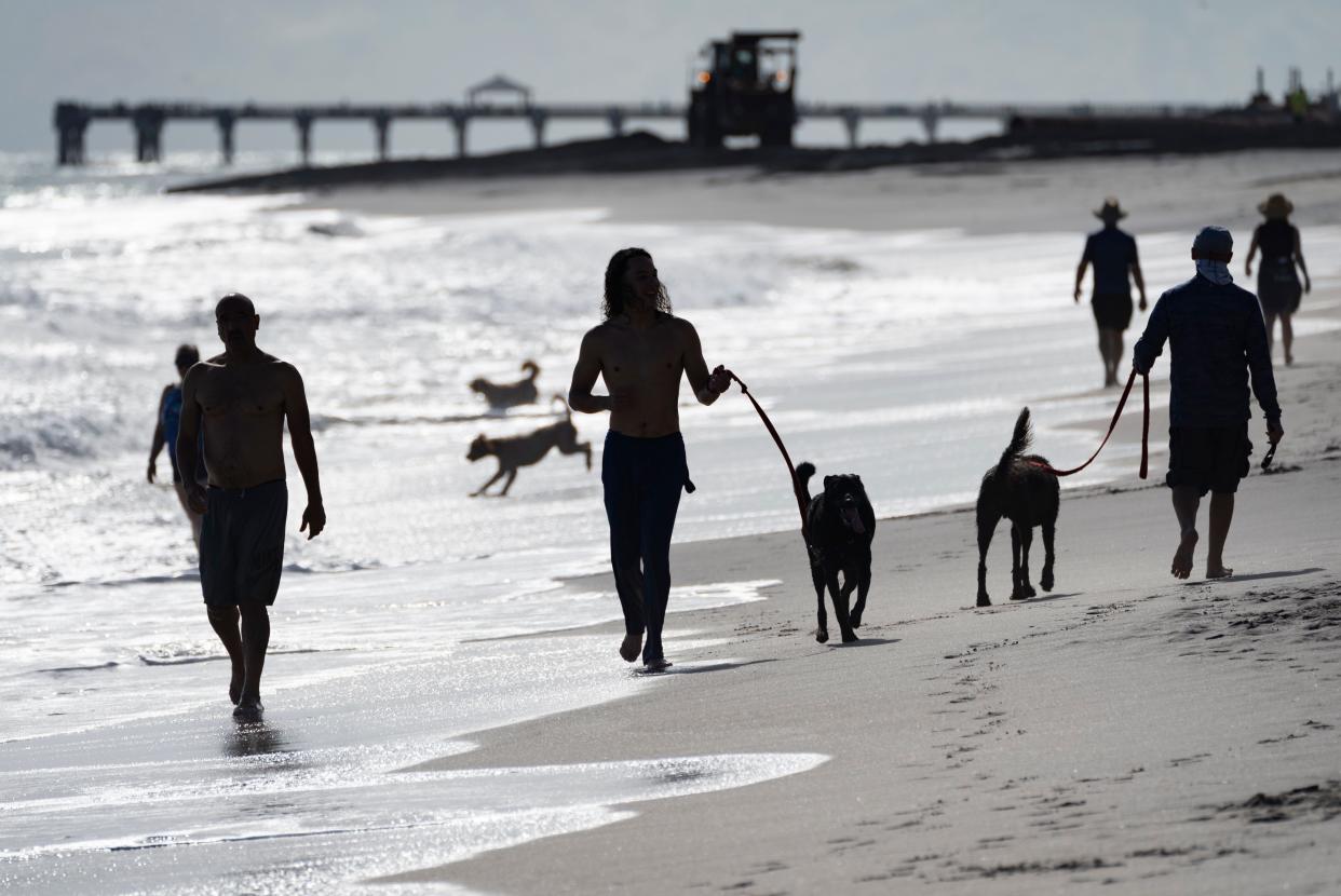 People walk their dogs on the dog beach in Jupiter, Florida.