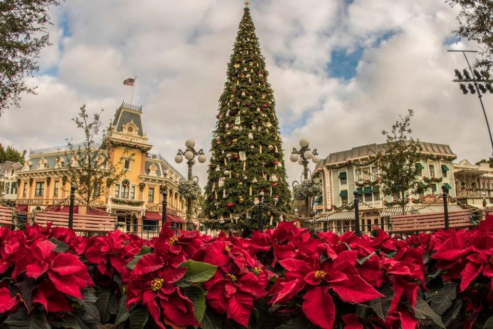 Disneyland holiday decorations in 2018 | Joshua Sudock/Disneyland Resort