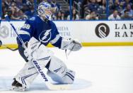 Nov 10, 2018; Tampa, FL, USA; Tampa Bay Lightning goalie Andrei Vasilevskiy (88) defends in goal during the second period against the Ottawa Senators at Amalie Arena. Mandatory Credit: Douglas DeFelice-USA TODAY Sports