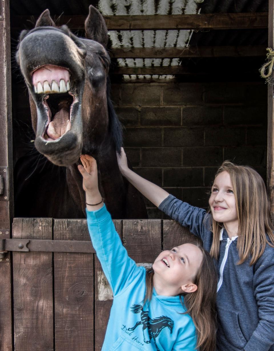 Two children pet a horse under its chin.