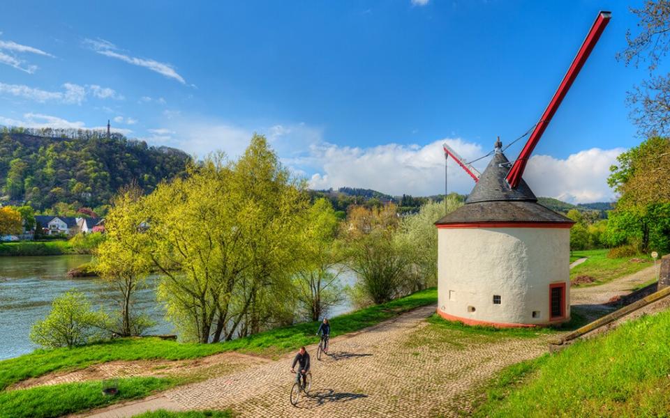 mosel crane - getty