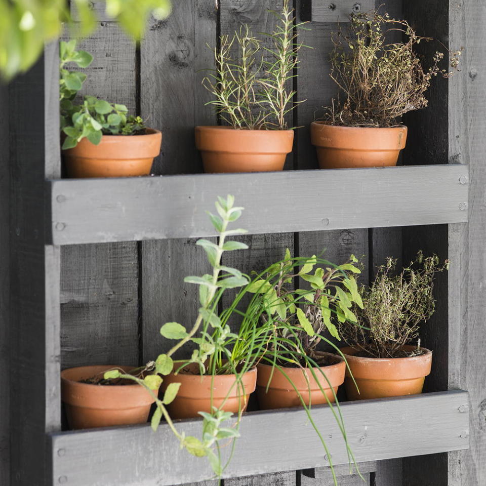 Transform old shelves into a vertical herb garden