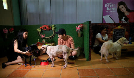 Pet lovers with shelter dogs are seen during a "Date with Dogs", to further strengthen pet owner's love for their animal pals, ahead of the Valentine's Day, inside the Philippine Animal Welfare Society (PAWS) headquarters in Quezon city, metro Manila, Philippines February 13, 2018. REUTERS/Romeo Ranoco