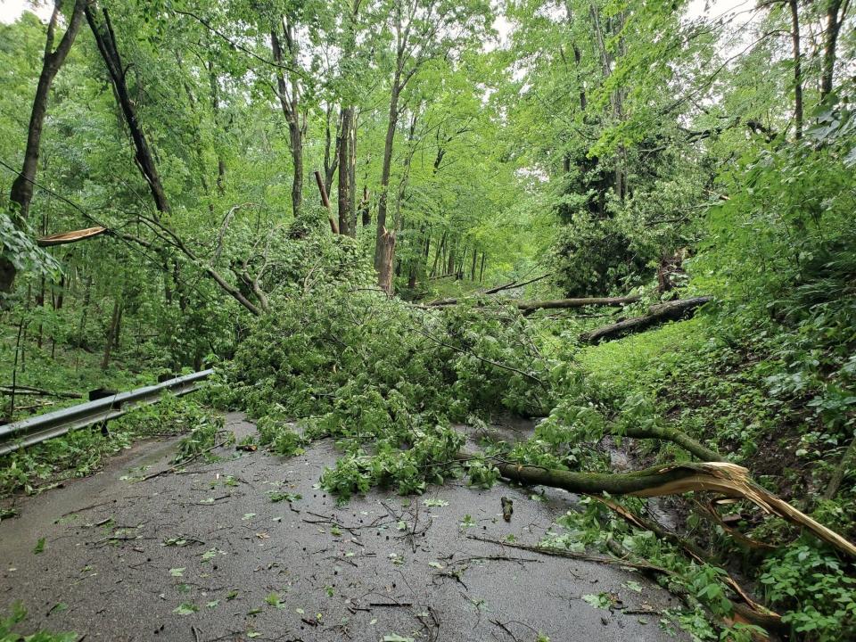 Fallen trees block Bromfield Road after the tornado on the night of June 13. There were about 10 clusters of tree debris in the mile stretch from Hastings East Road to the Malabar Farm complex down the hill. Kudos to Monroe Township for having it cleared by 4 p.m. June 14.