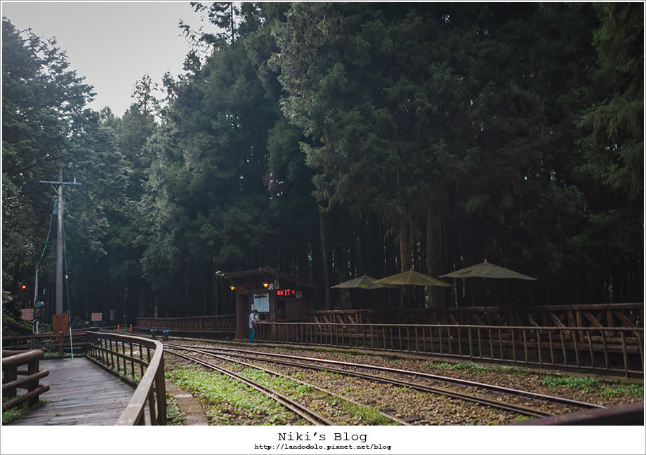 阿里山輕旅行