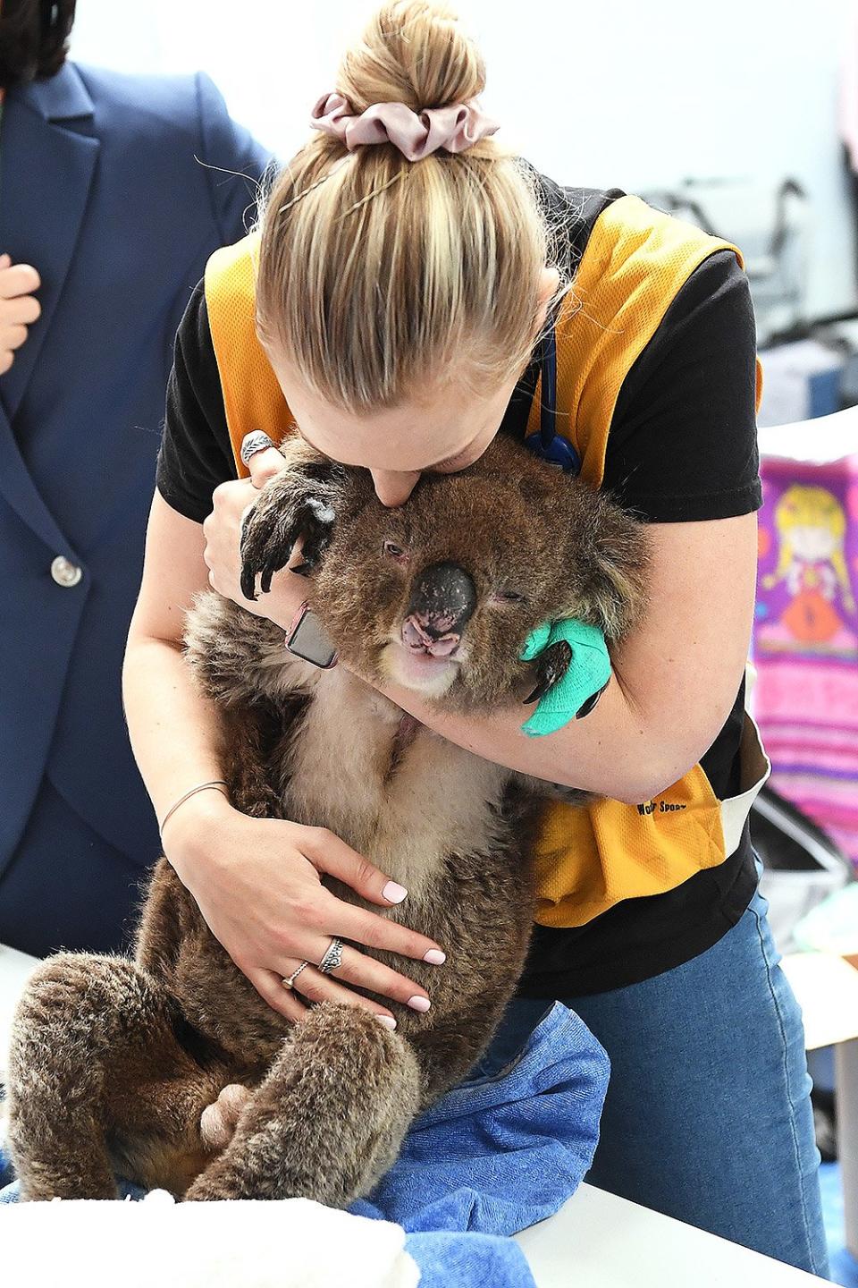 Vet nurse Georgia Brown comforts a koala named Robert as he receives treatment at Adelaide Koala Rescue on Jan. 8 in Adelaide, Australia.