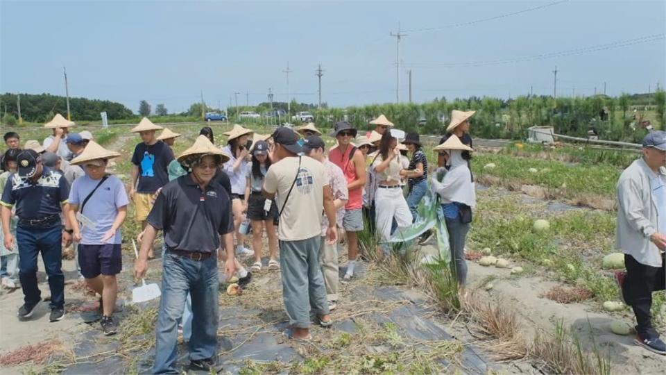 青農返鄉下田種西瓜　開設「西瓜幼兒園」創意行銷