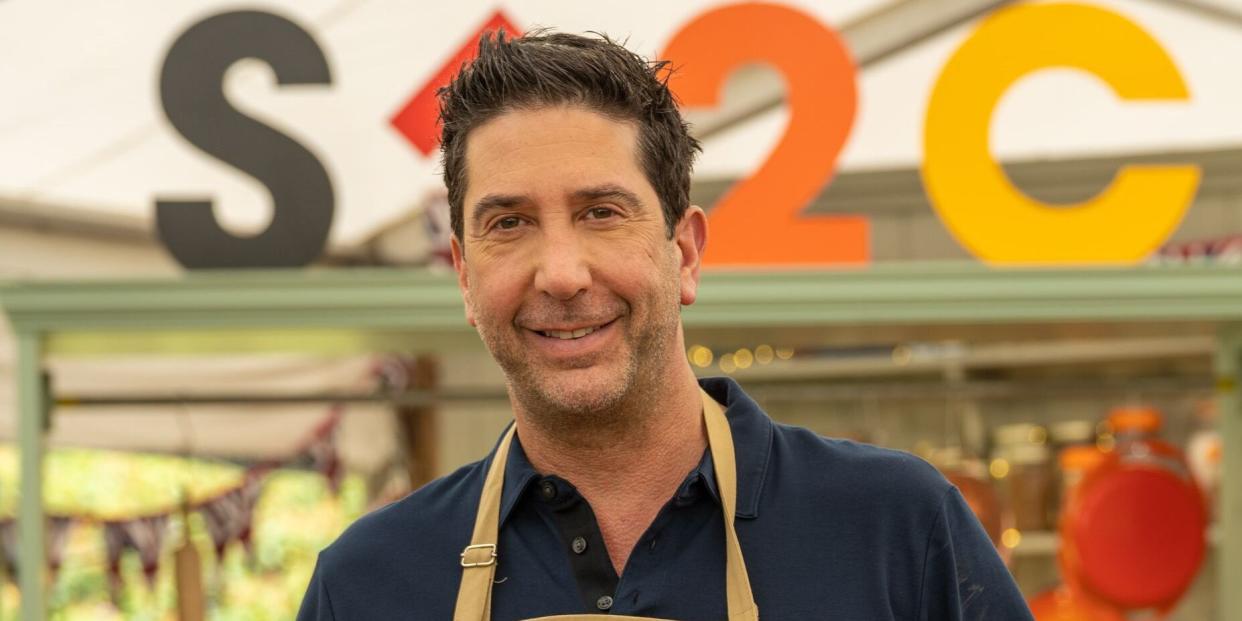 david schwimmer