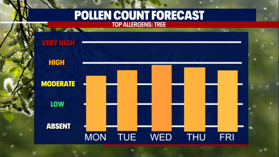 <div>Pollen Count Bars Forecast</div>