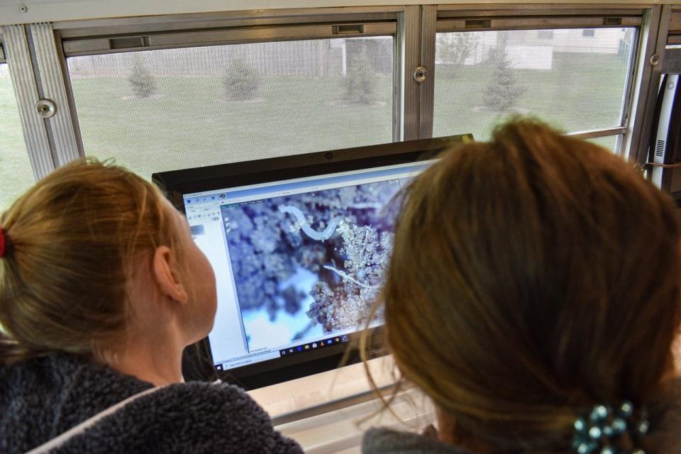 Phenix McCreery, left, and Laila Long look at a nematode – a parasitic roundworm – that they discovered while looking at soil under a microscope.