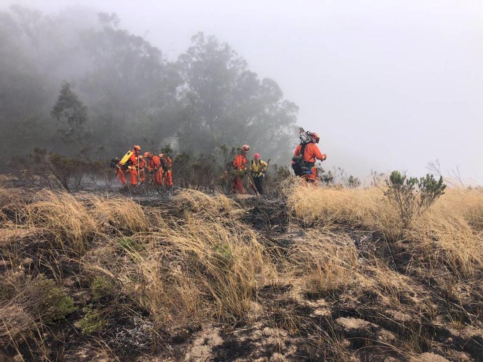 Cal Fire battled a fire at Montaña de Oro State Park on Friday, Aug. 4, 2023.
