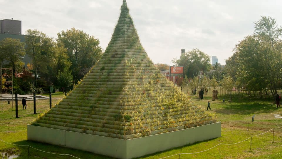 "La Pirámide Viviente," Desde 2015, utilizó uno de los símbolos favoritos de Denes, la pirámide, y también tuvo un aspecto comunitario, ya que los visitantes pudieron llevarse plantas a casa al final de la exposición. - Cortesía de Agnes Denes/Leslie Tonkonow Obras de arte y proyectos