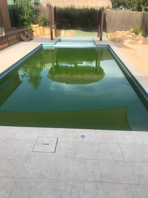 Untreated backyard pools can pose a health risk to those who swim in them. Source: Supplied