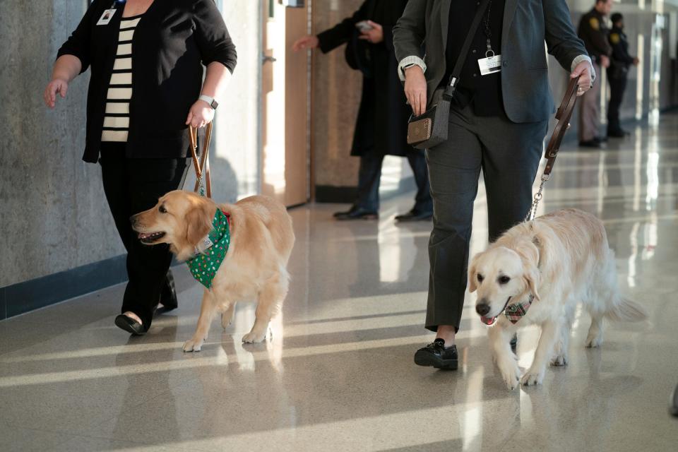 Emotional support dogs are close by for victims and their families of the Oxford High School mass shooting as Ethan Crumbley is set to be sentenced at the Oakland County courtroom of Judge Kwame Rowe on Friday, Dec. 08, 2023.