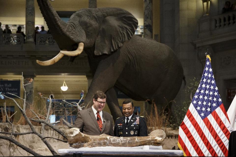 Smithsonian National Museum of Natural History Director Kirk Johnson, left, and Lt. Gen. Thomas Bostick, commanding general of the Army Corps of Engineers, unveil the fossilized bones of a Tyrannosaurus rex during a ceremony at the museum in Washington, Tuesday, April 15, 2014. The Tyrannosaurus rex is joining the dinosaur fossil collection on the National Mall on Tuesday after a more than 2,000-mile journey from Montana. For the first time since its dinosaur hall opened in 1911, the Smithsonian's National Museum of Natural History will have a nearly complete T. rex skeleton. FedEx is delivering the dinosaur bones in a truck carrying 16 carefully packed crates. (AP Photo/J. Scott Applewhite)