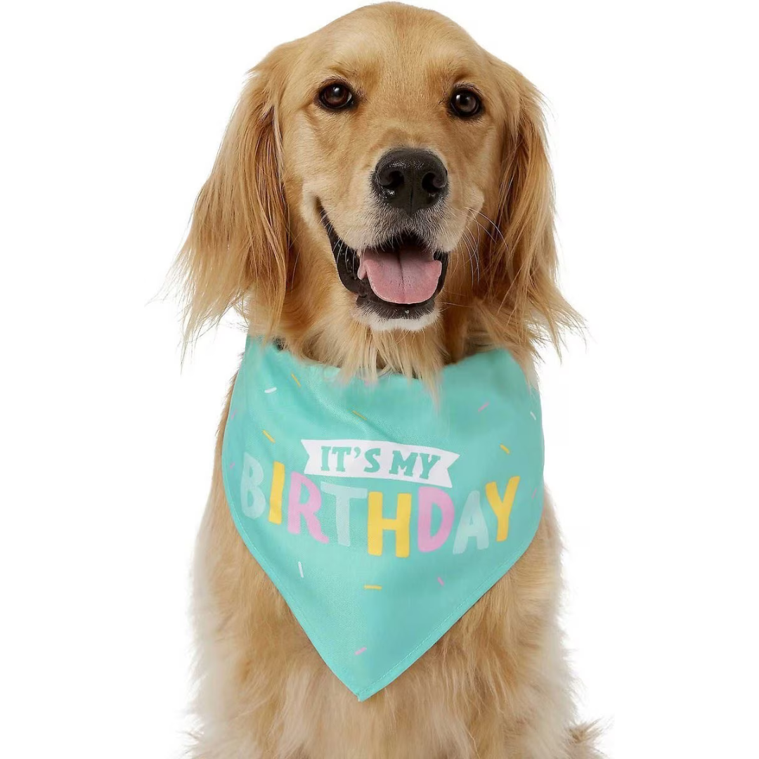 <p><a href="https://go.redirectingat.com?id=74968X1596630&url=https%3A%2F%2Fwww.chewy.com%2Ffrisco-dog-cat-birthday-bandana%2Fdp%2F189515&sref=https%3A%2F%2Fwww.womansday.com%2Flife%2Fpet-care%2Fg60178716%2Fdog-birthday-party-ideas%2F" rel="nofollow noopener" target="_blank" data-ylk="slk:Shop Now;elm:context_link;itc:0;sec:content-canvas" class="link rapid-noclick-resp">Shop Now</a></p><p> Buy (Or Make!) a Birthday Bandana </p><p>chewy.com</p><p>$6.99</p><span class="copyright">Frisco</span>