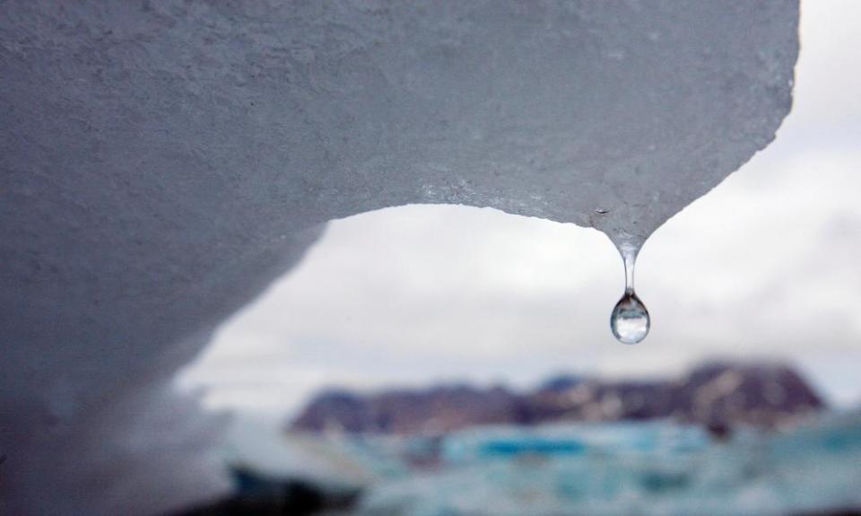 <span>Photograph: John Mcconnico/AP</span>