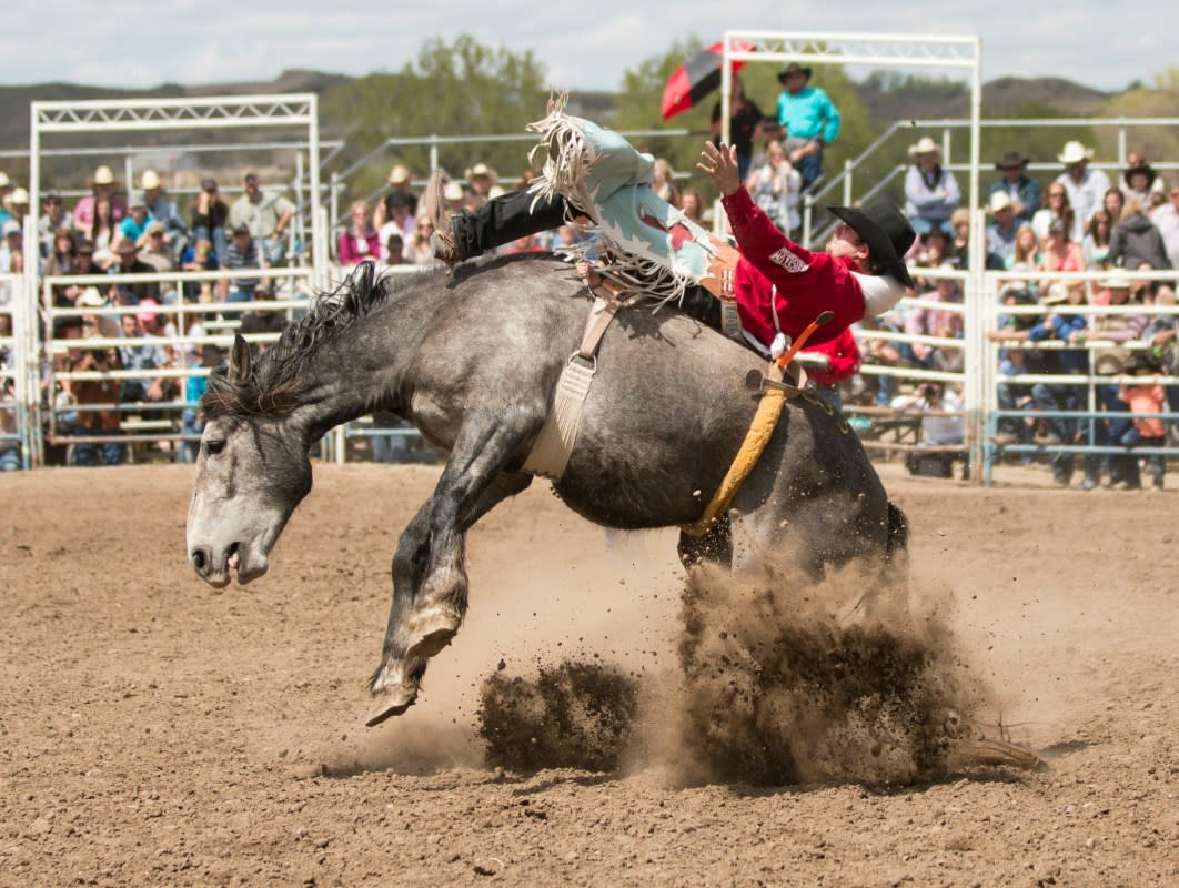 2024 Rodeo Uncorked! International Wine Competition Winners<p>Courtesy of Unsplash | Photo by Daniel Lloyd Blunk-Fernández</p>