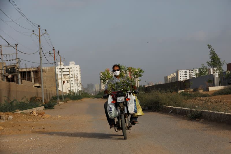 The Wider Image: Pakistanis plant trees to provide relief from scorching sun