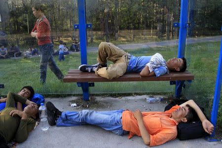 Migrants sleep at a bus stop after crossing into Hungary from the border with Serbia near Asotthalom, Hungary, August 30, 2015. REUTERS/Bernadett Szabo