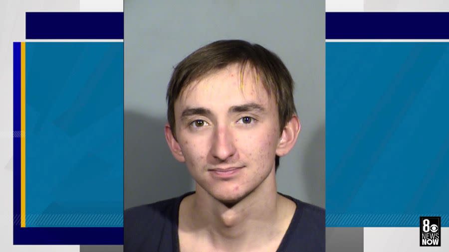 <em>Maison Des Champs, 24, faces charges of destroying property of another and conspiracy to destroy private property. (LVMPD)</em>