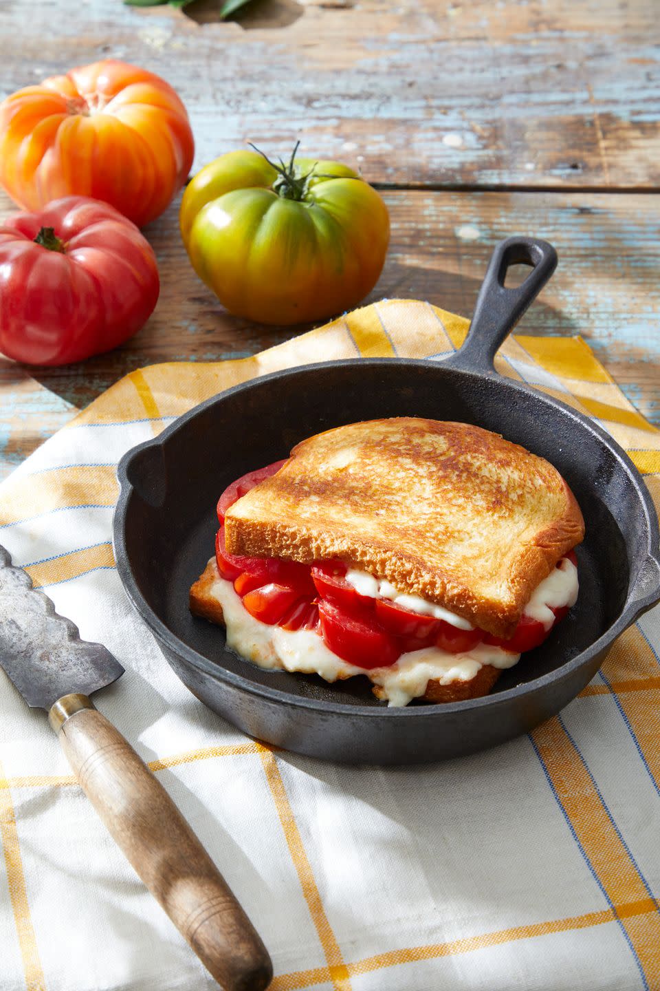 tomato and fontina grilled cheese